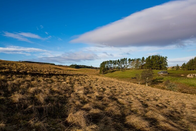 Brown Rigg Lodges