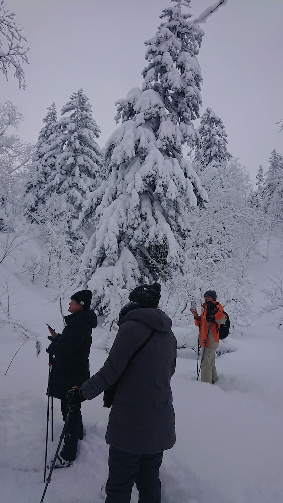 Hostal K's House Hokkaido - Asahidake Onsen Hostel