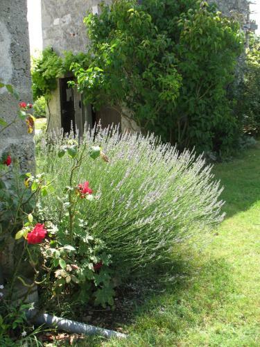 Bed & Breakfast Chambre D'h�tes Le Pigeonnier de Quittimont