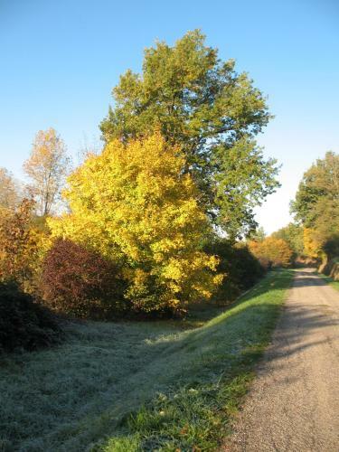 Bed & Breakfast Chambre D'h�tes Le Pigeonnier de Quittimont