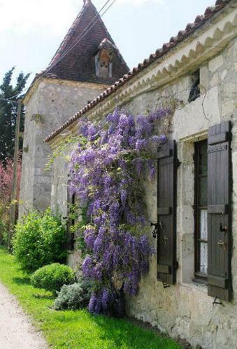 Bed & Breakfast Chambre D'h�tes Le Pigeonnier de Quittimont