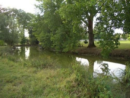 Bed & Breakfast Le Platane