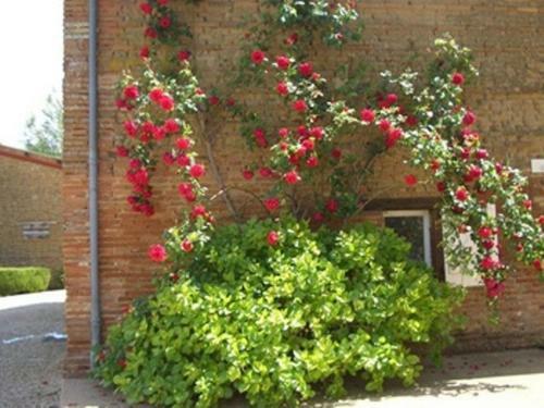 Bed & Breakfast Le Platane