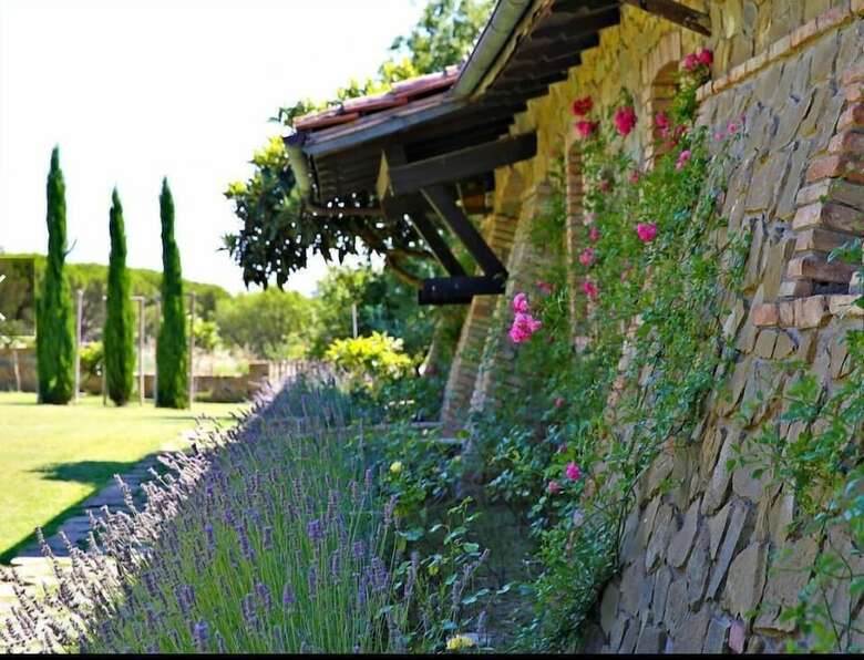 Agroturismo Resort Podere Dell'angiolo