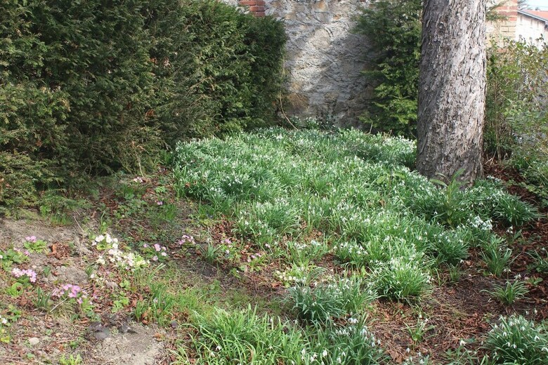 Bed & Breakfast Les Marronniers