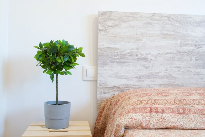 Apartamentos Malagaurbanrooms - Beach & Sea