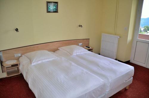 Hotel H�tel Roess