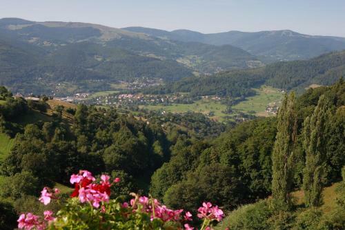 Hotel H�tel Roess
