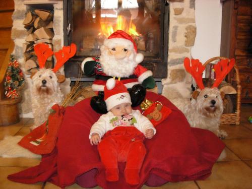 Bed & Breakfast Chambres D'hotes La Maison Des Chiens Verts