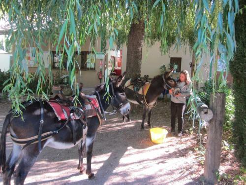 Hotel Le Vallon