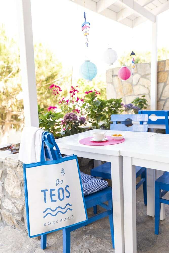 Hotel Teos Otel