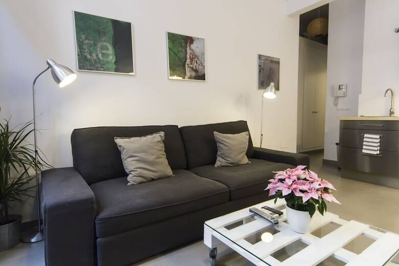 Apartamentos M�laga Picasso
