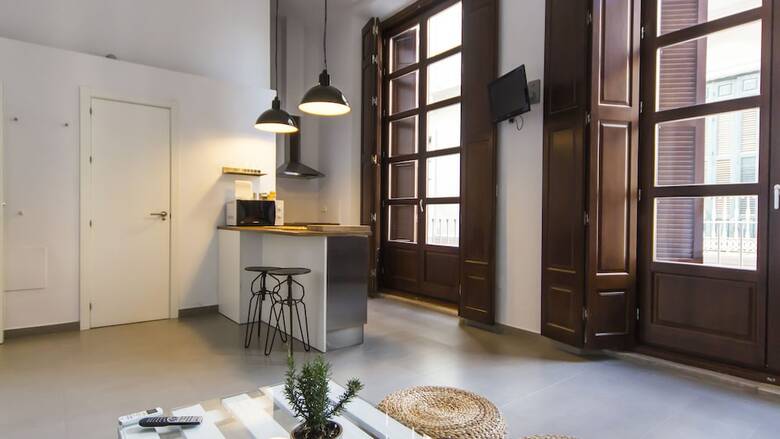 Apartamentos M�laga Picasso