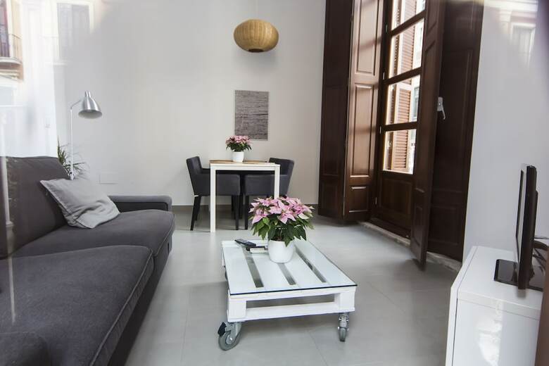Apartamentos M�laga Picasso