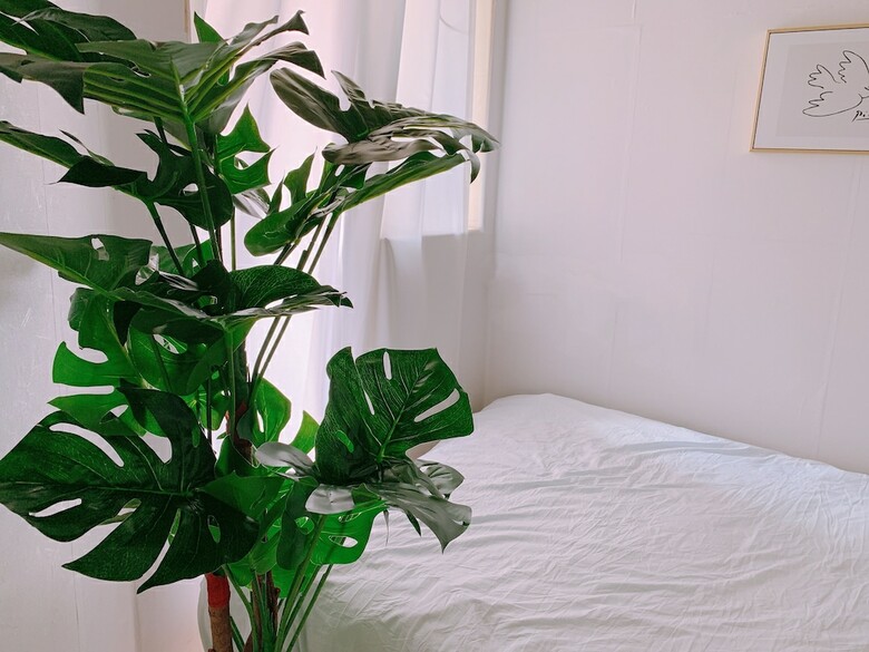 Hostal Shenzhen Tea-white Hostel