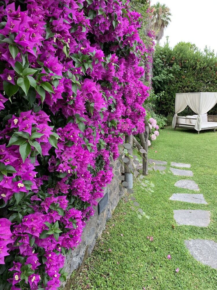 Hotel Agapanto Luxury Accommodation