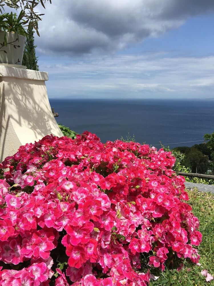Hotel Agapanto Luxury Accommodation