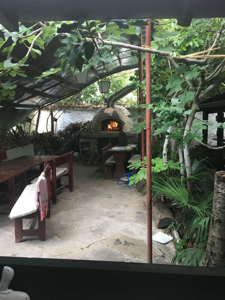 Hostal Hair Of The Dog Hostel