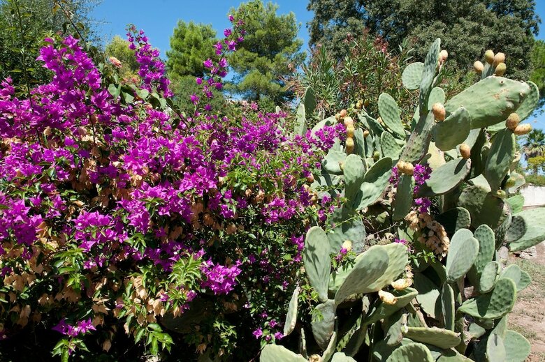 Hotel Ostuni Rosa Marina Resort