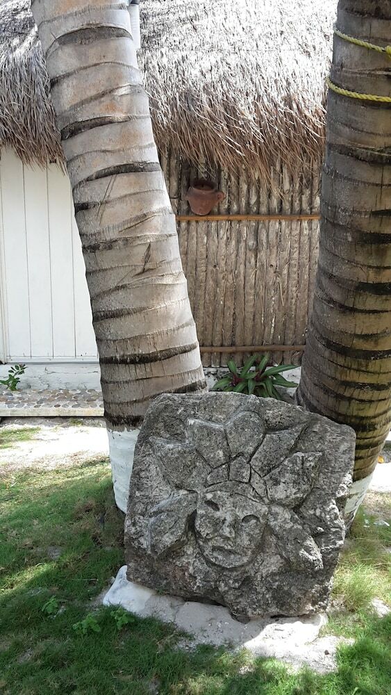 Hotel Las Caba�as Del Doctor