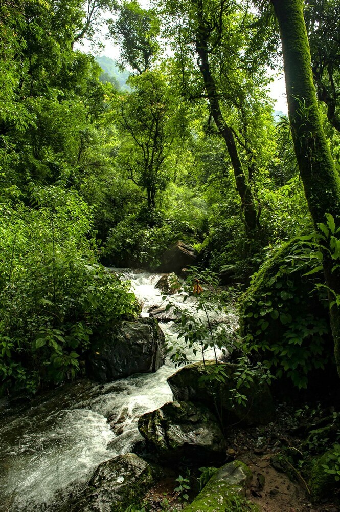 Hotel Haut Monde Hill Stream Resort