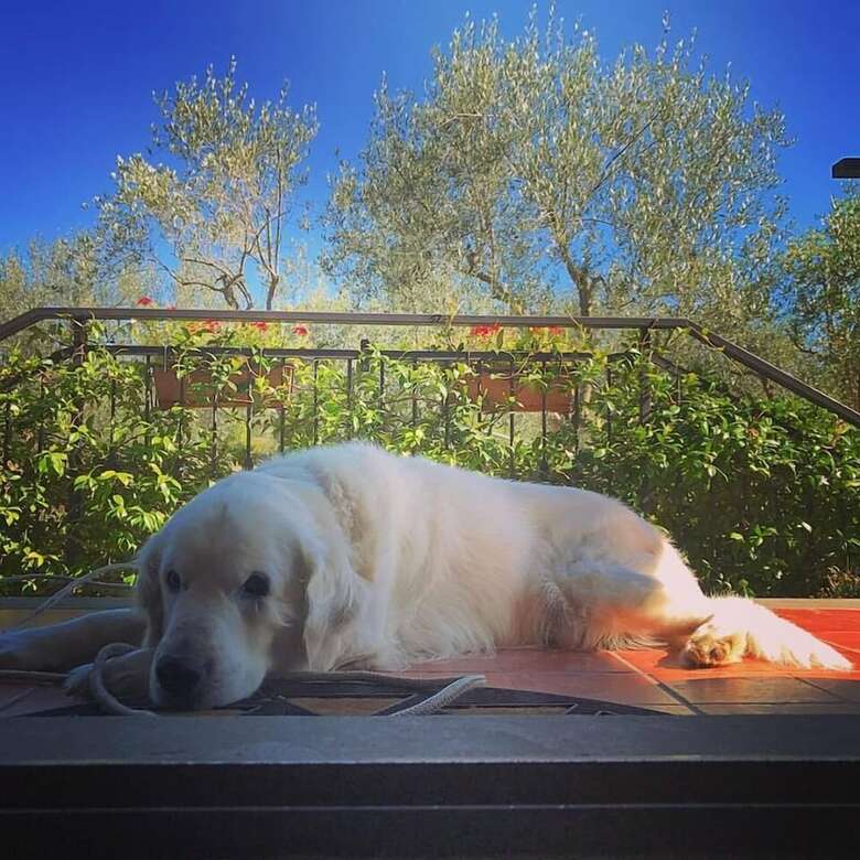 Agroturismo Casa Remi