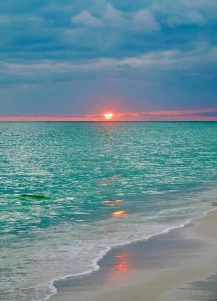 Beautiful Cozy 1br Apartment Walk From The Ocean!