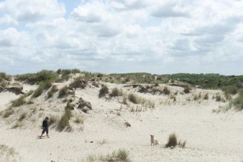 Apartamento Holiday Suites Bray-dunes Peupliers
