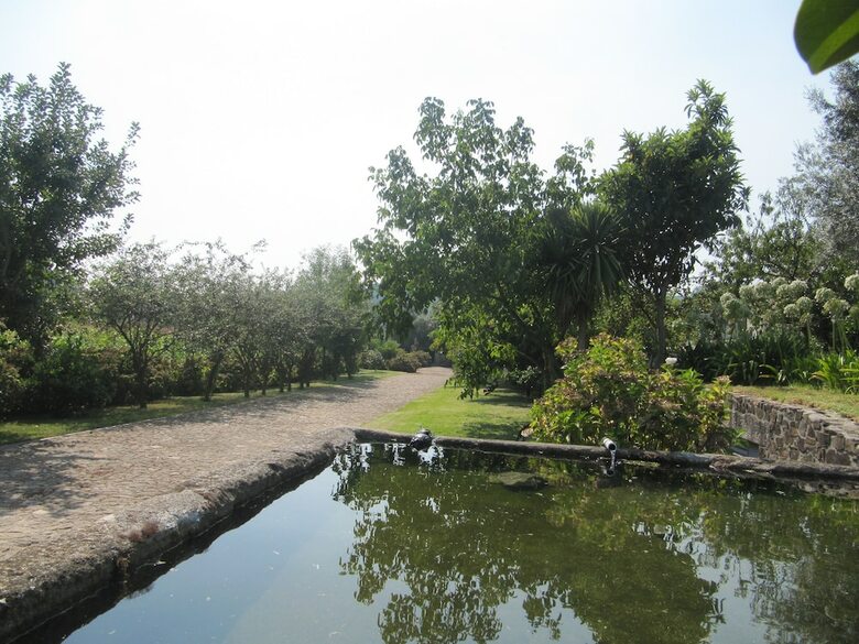 Quinta Eido Oliveira