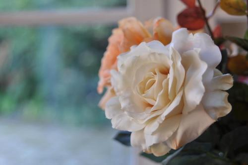 Bed & Breakfast Grange De La Herde
