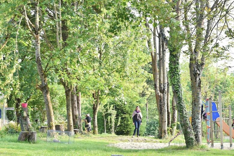 Camping Le Petit Lion - Lodges Bois