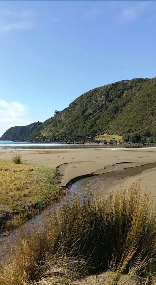 Nga Puriri Bed And Breakfast