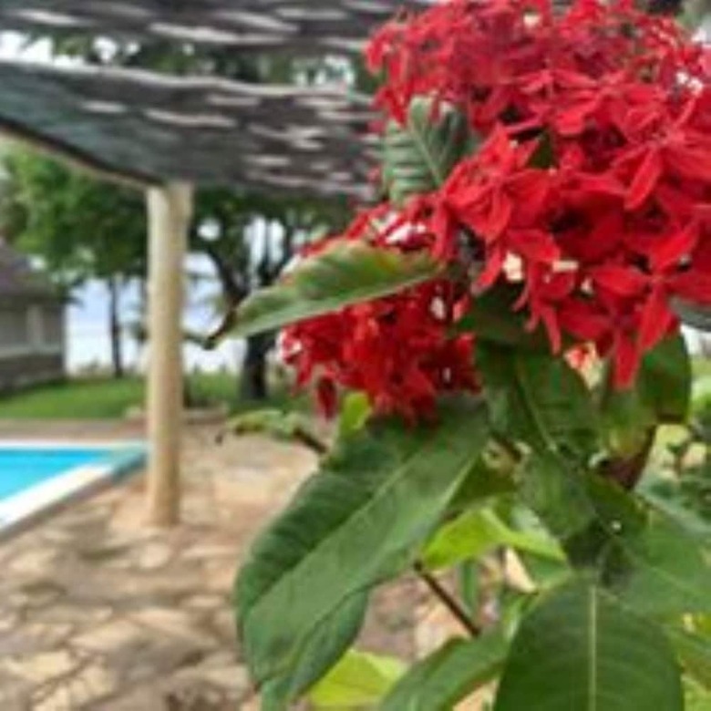 Hotel The Coconut Beach Boutique Lodge & Spa
