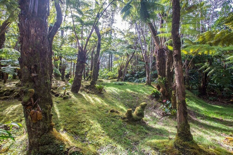 Hale Mauna Loa Lower - 11-3910 3rd St