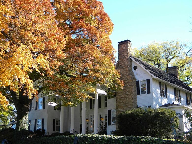 Bed & Breakfast Black Horse Inn