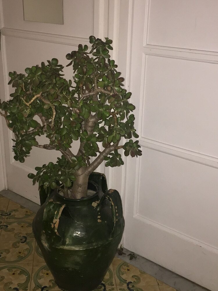 Bed & Breakfast Mery Sorrento