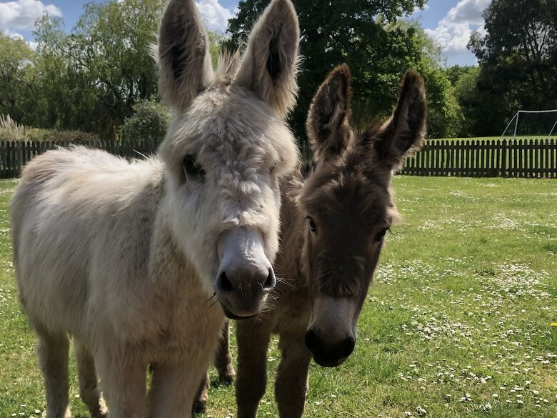 Northlands Farm & Lakes