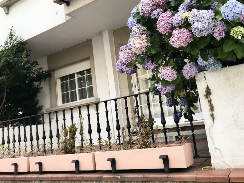 Apartamentos Sanxenxo Playa de Silgar