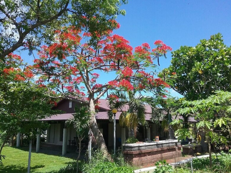 Bed & Breakfast Clove House