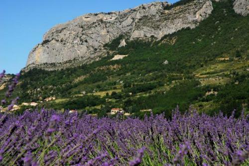 Camping Les Princes D'orange