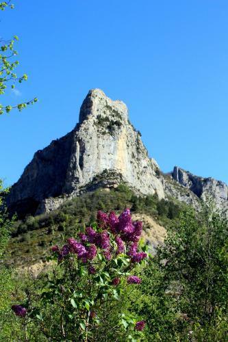 Camping Les Princes D'orange