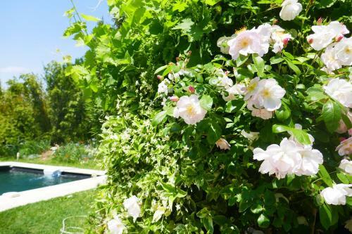 Bed & Breakfast Le Mas D'acanthe