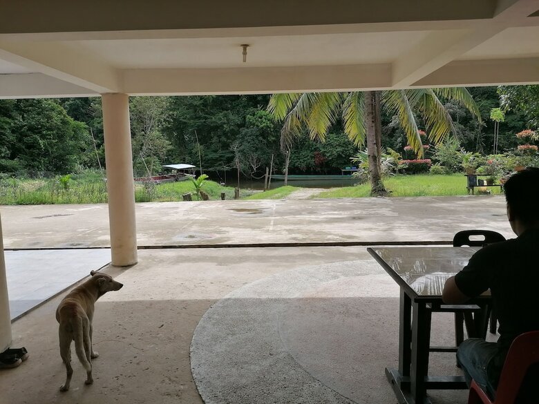 Hotel Mulu Diana Homestay