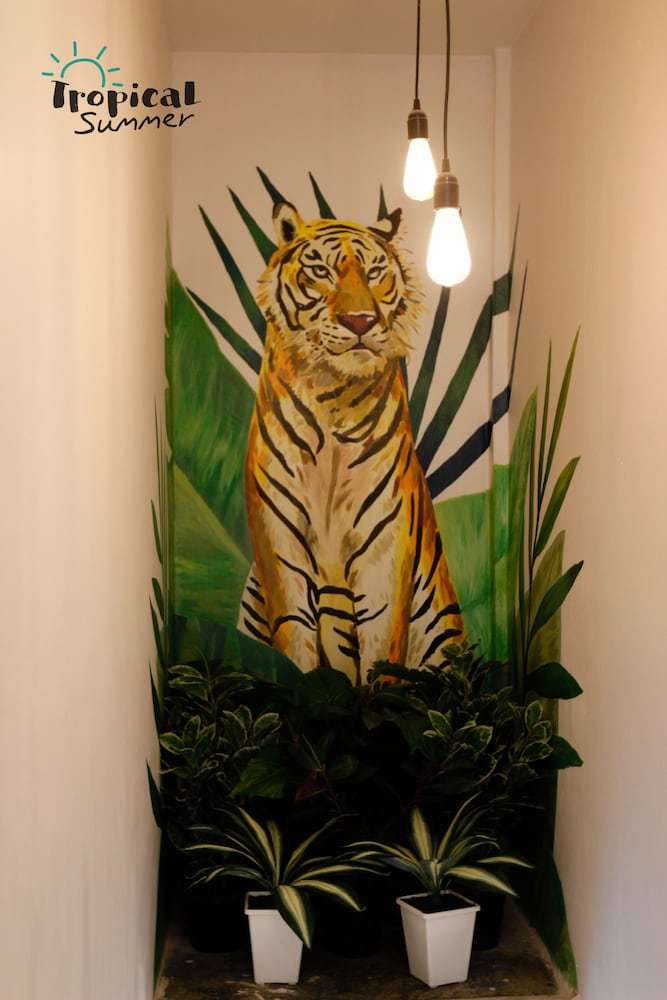 Hostal Tropical Summer Hostel