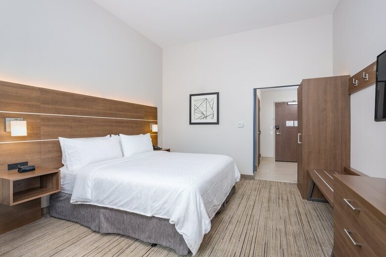 Hotel Holiday Inn Express & Suites Elkhart North