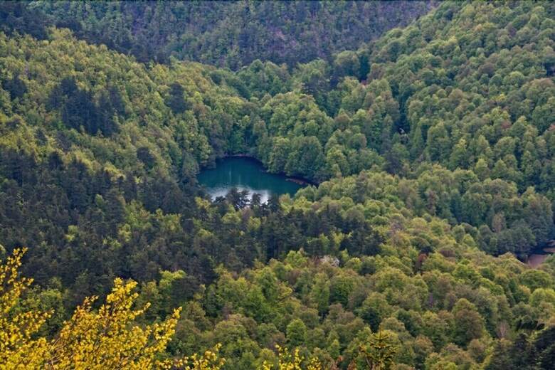 Hotel Bolu City Otel
