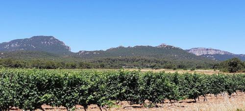Bed & Breakfast La Cazarelle
