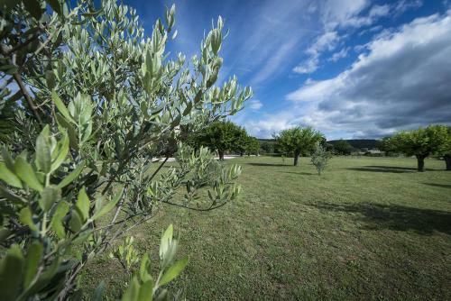 Bed & Breakfast Chambres D'h�tes C�t� C�vennes