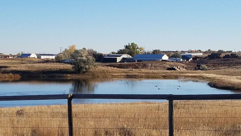 Posada Drunk Duck Lodge