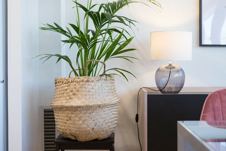 Apartamentos Sibs Aragon